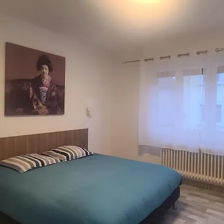 Strasbourg Centre Historique 15 Mn En Tram Et Aeroport Parking Gratuit Apartment