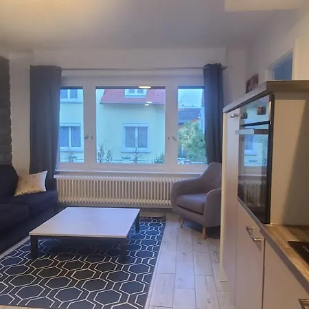 アパート Strasbourg Centre Historique 15 Mn En Tram Et Aeroport Parking Gratuit *