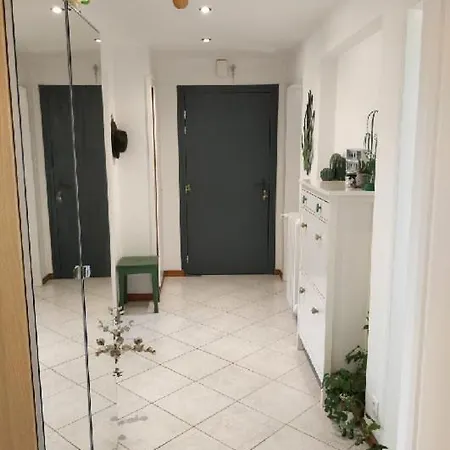 Strasbourg Centre Historique 15 Mn En Tram Et Aeroport Parking Gratuit リンゴルスハイム