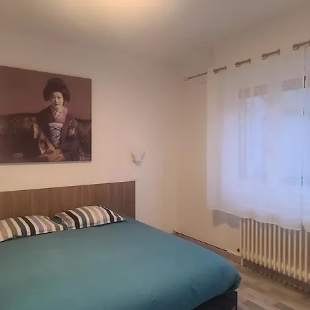 Strasbourg Centre Historique 15 Mn En Tram Et Aeroport Parking Gratuit Apartment Lingolsheim
