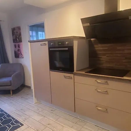 Strasbourg Centre Historique 15 Mn En Tram Et Aeroport Parking Gratuit Apartment